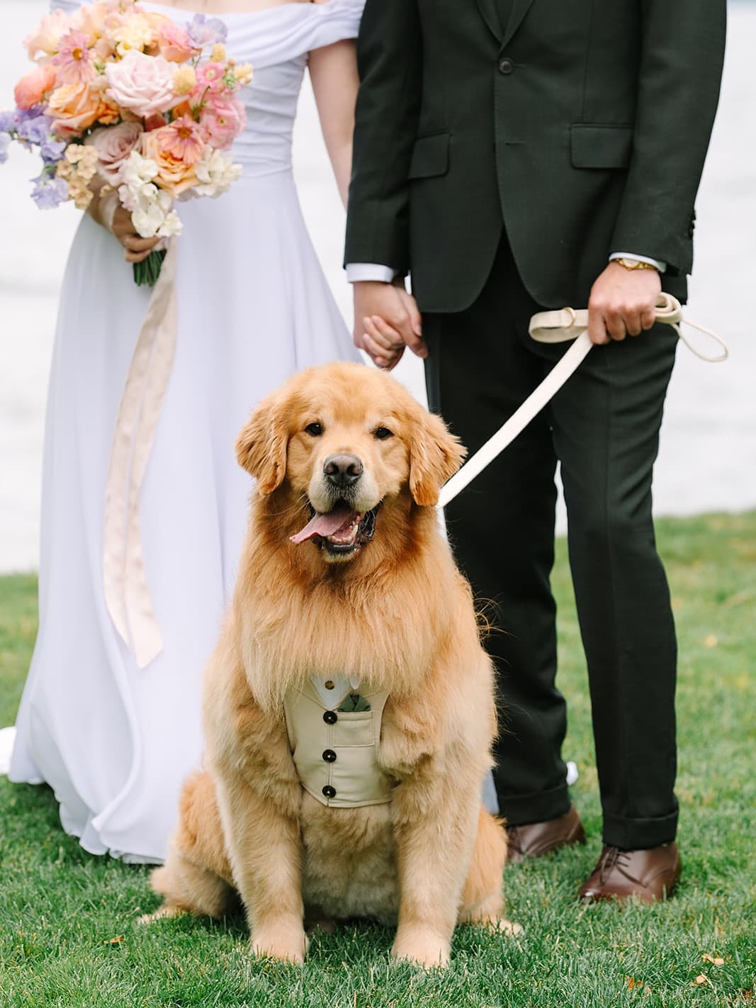 The Rise of Wedding Pet Attendants: Solving Modern Couples’ Biggest Dilemma