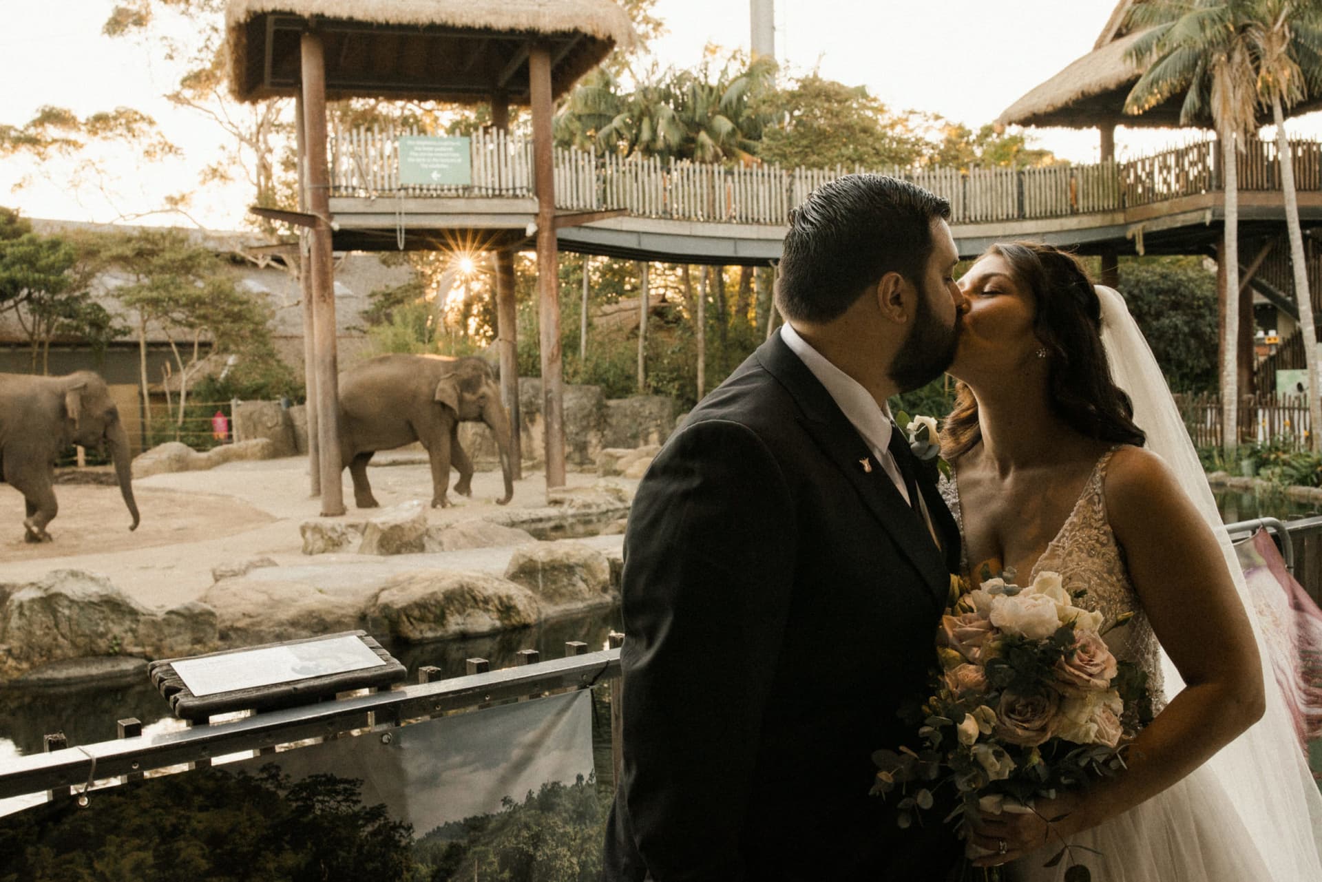 This Couple got Married at a Zoo