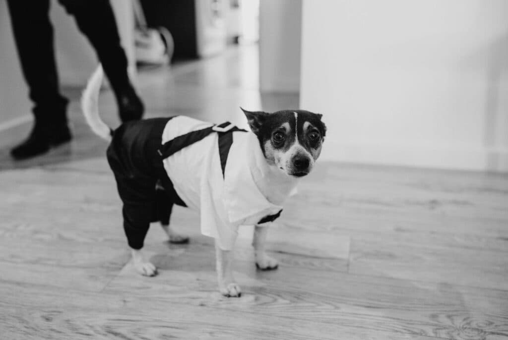 wedding at the national wine centre of australia