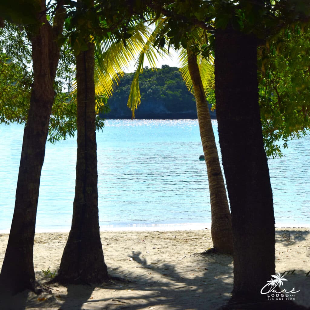 Top 10 New Caledonia Wedding Venues For A Tropical Wedding