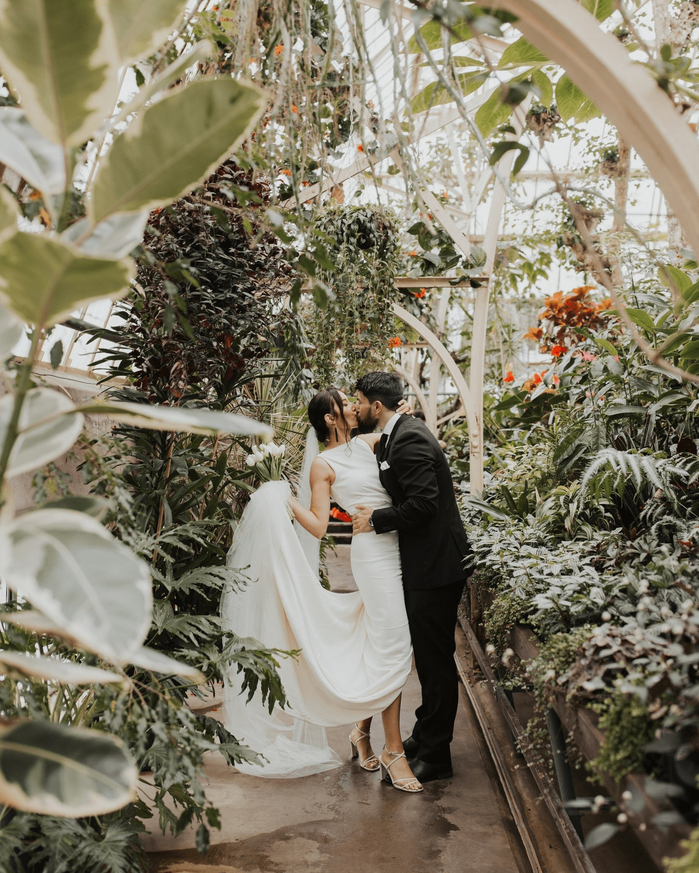 Top 20 New Zealand Wedding Photographers For Your Dream Destination Wedding