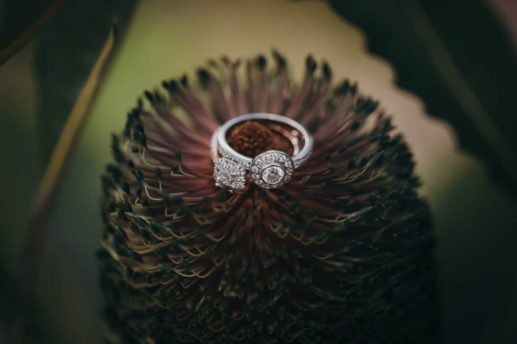 Native Flowers & Rural Charm For This Country Wedding