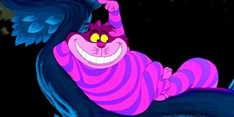 Image result for alice in wonderland cheshire cat
