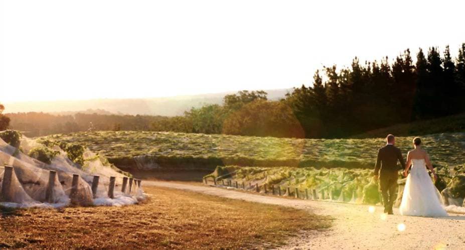 MAIN_The Lane Vineyard