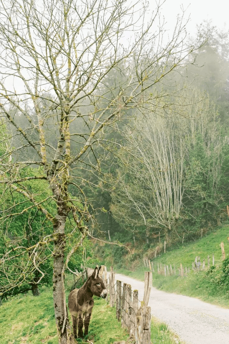 How To Plan Your Honeymoon in Spain