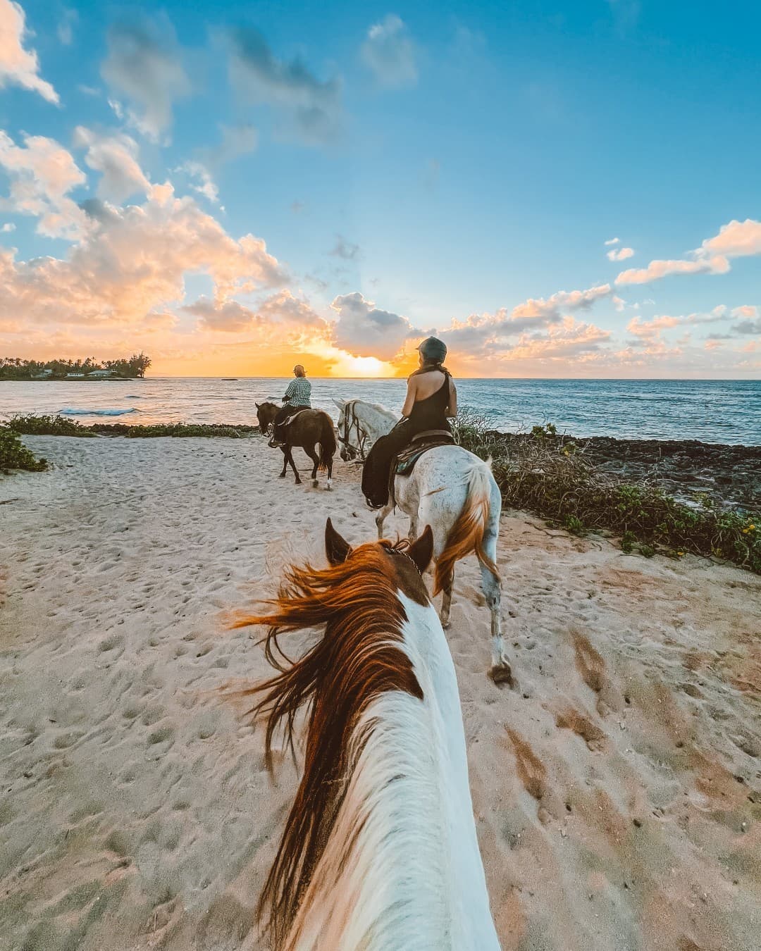 Honeymoon in Hawaii: 8 Things To Do For An Epic Adventure Filled Experience