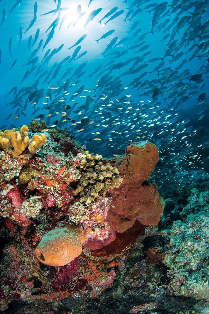 10 Unforgettable Experiences For Your Honeymoon In The Philippines