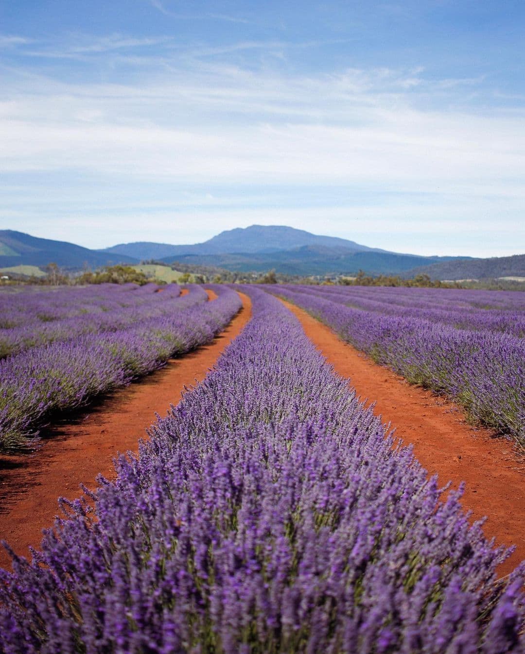 Honeymoon Destinations on the Rise in 2024: Romance in Unexplored Paradises