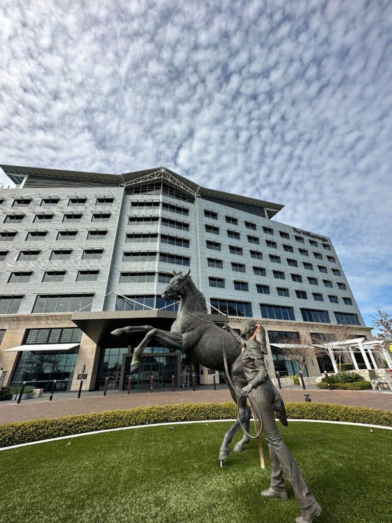 2023 End of Year Recap