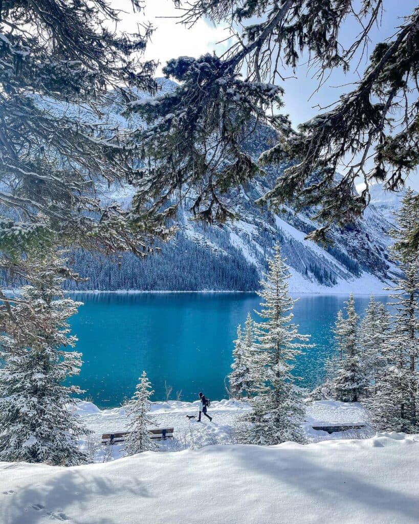 The Ultimate Guide on Destination Winter Honeymoons