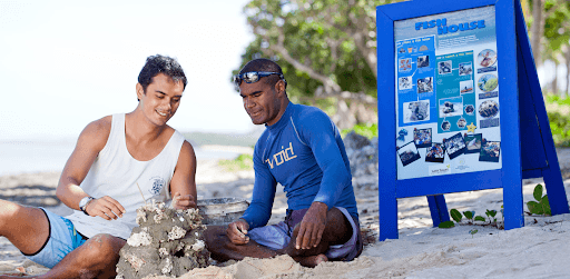 How You and Your Guests Can Help Conserve Fiji