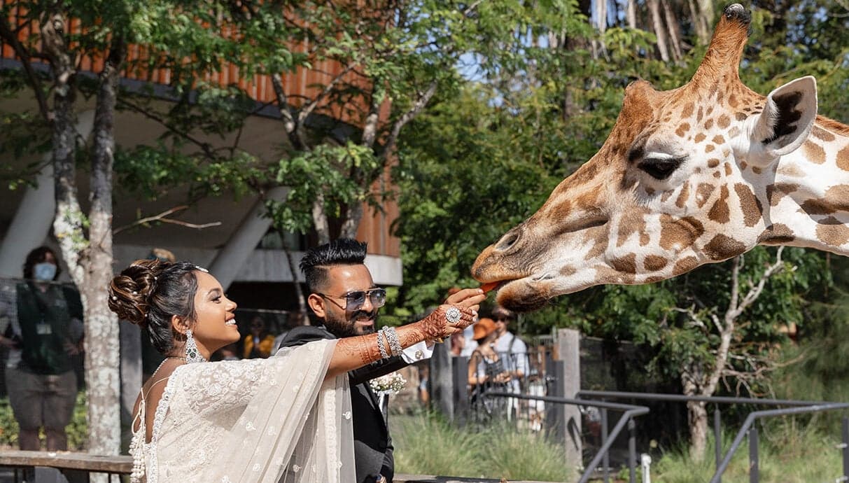 We’re in Love with This Beautiful Indian Wedding Held at the Sydney Taronga Zoo 