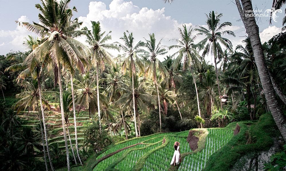 Why Bali is leading in Destination Weddings