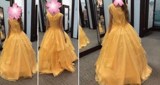 Trolls Slam Bride’s Beauty And The Beast Dress For Looking Childish