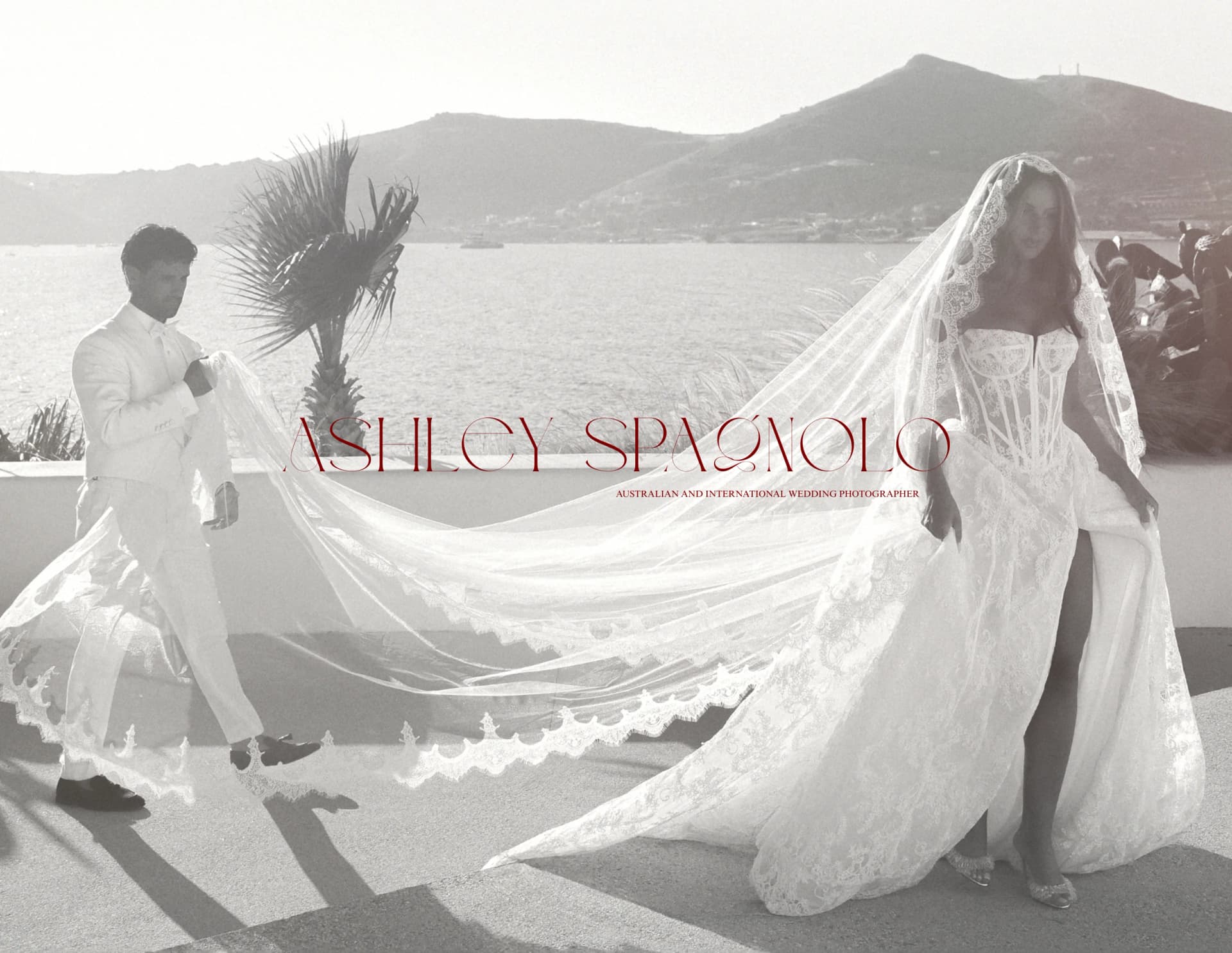 Ashley Spagnolo Weddings 