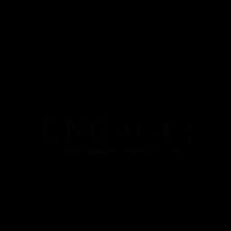 Trusted by partner 10