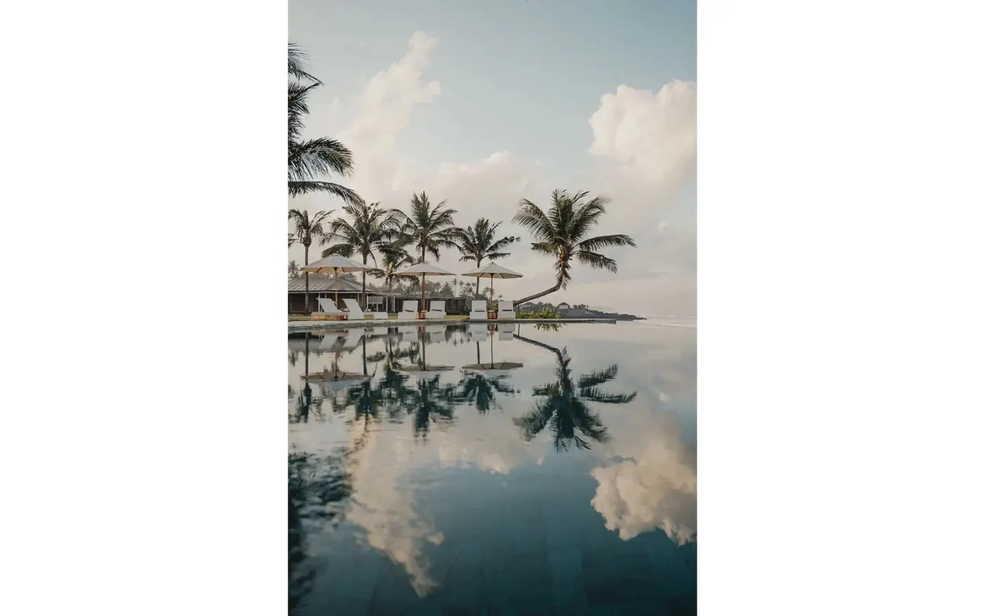 Pool reflecting palm trees
