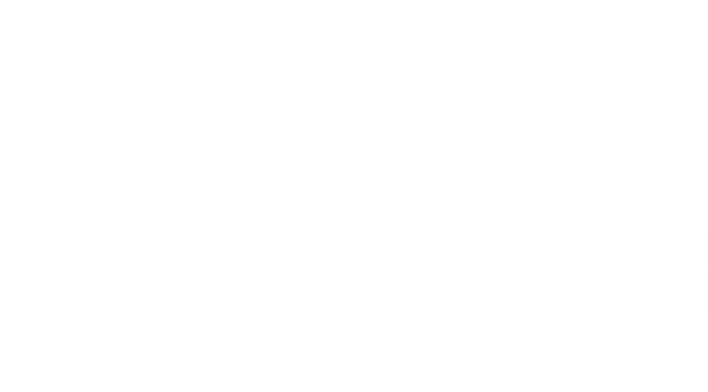 Wonderland Studio