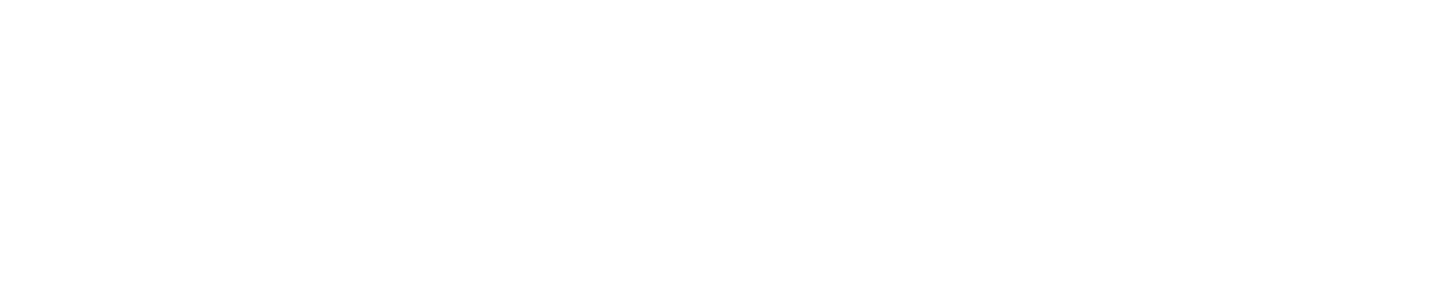 Wedded Wonderland