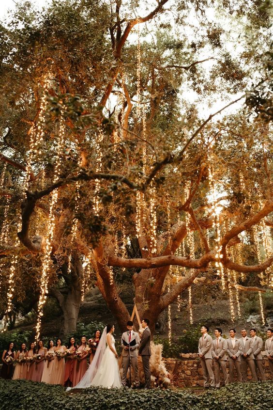 Couple and entourage wedding ceremony surrounded by whimsical lights and nature