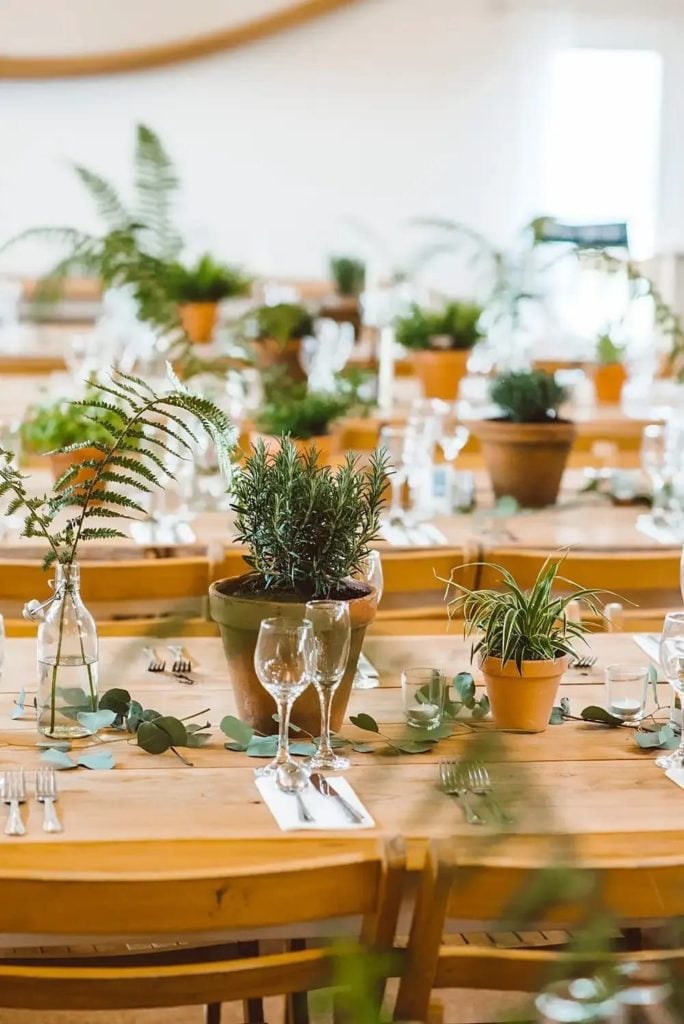Reusable potted plants as decor for an eco-friendly themed wedding