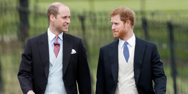 prince william and prince harry