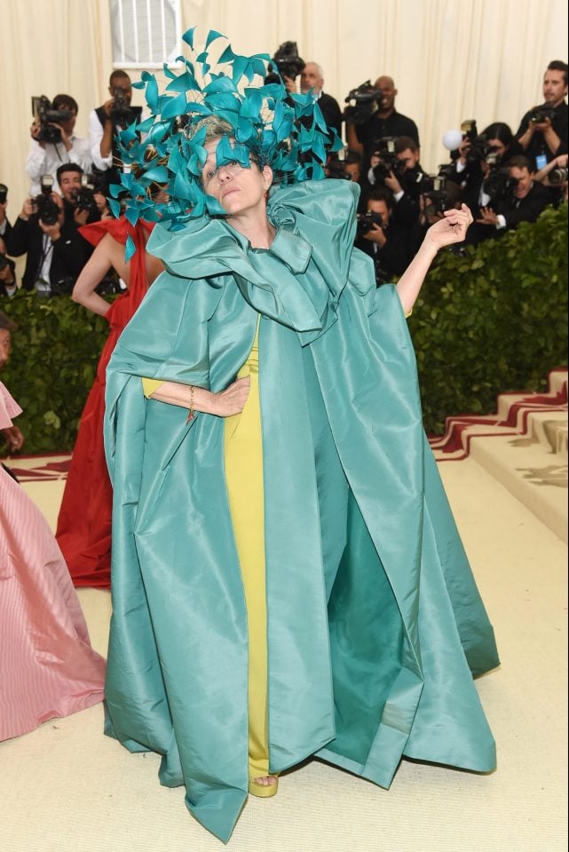 frances mcdormand met gala