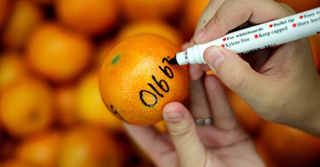 oranges malaysia