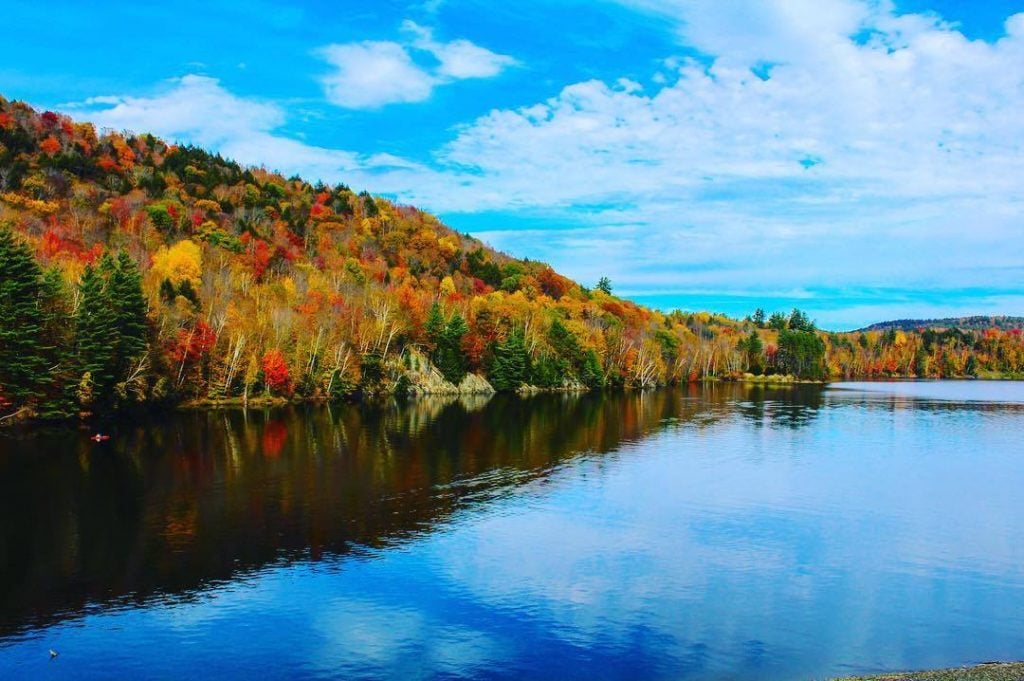 vermont lake and trees