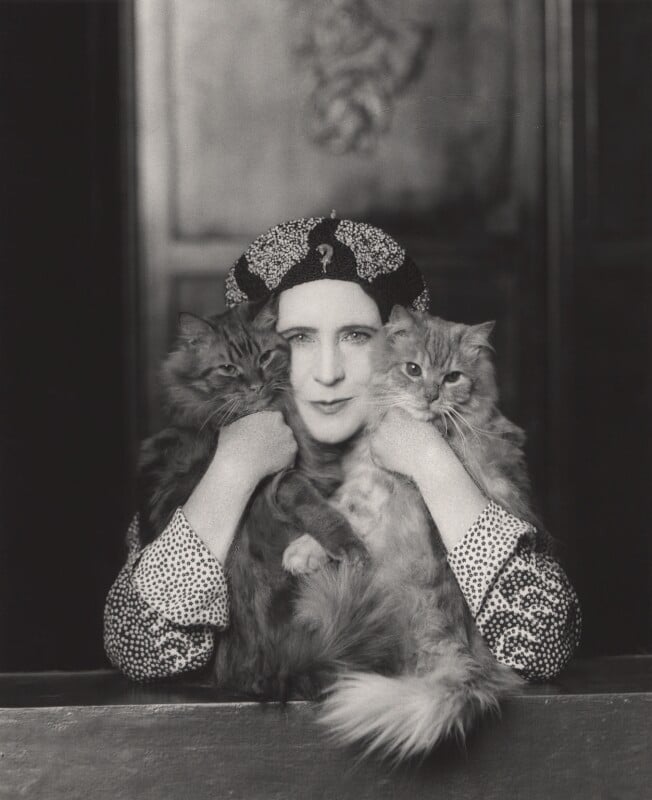 Elinor Glyn black and white cats