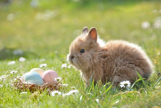 easter wedding