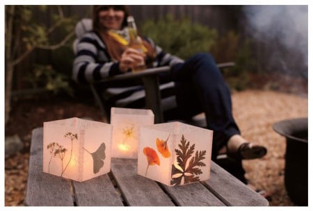 presssed flower lanterns 