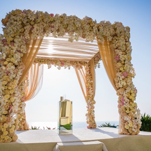 ritz carlton wedding 