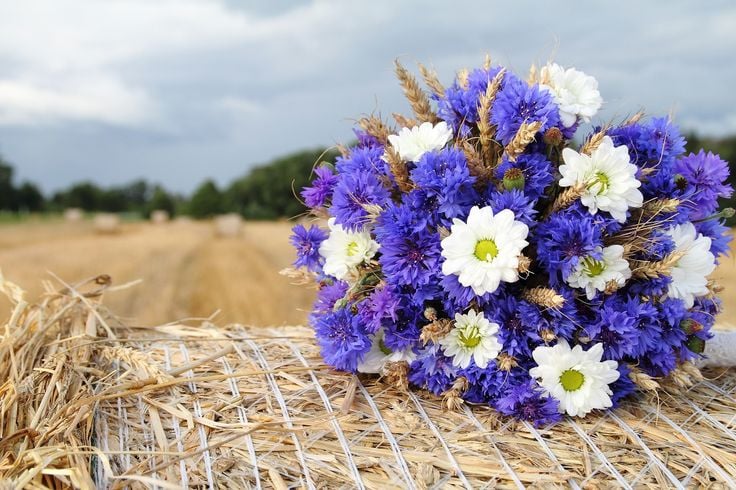 Image result for cornflower bouquet