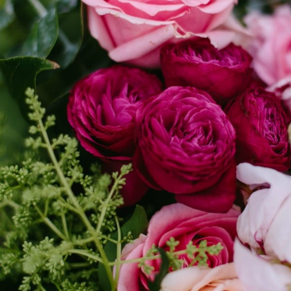 Dermont and jess country wedding