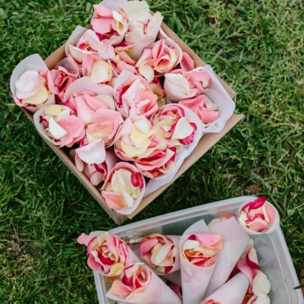 dermont and jess country wedding
