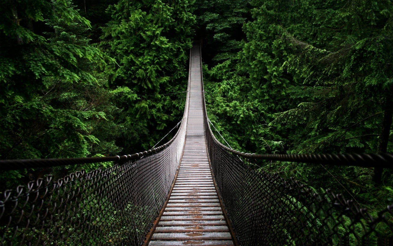 Image result for costa rica suspension bridge