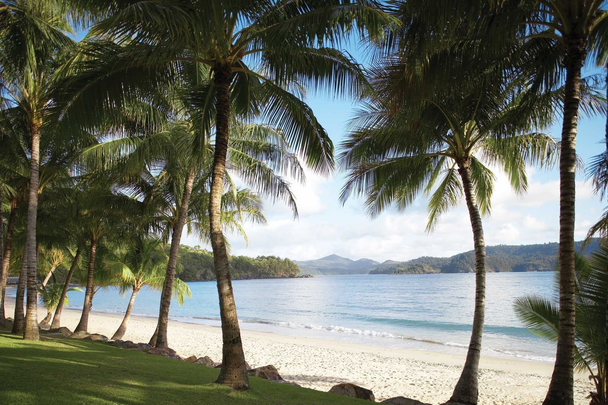 Image result for hamilton island