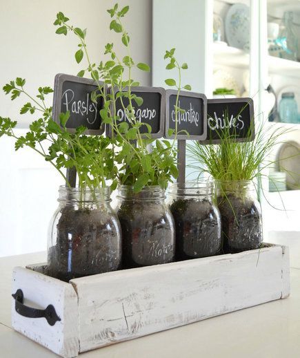 Tabletop Garden | Your backyard might be out of commission until next spring, but that doesn’t mean you can’t enjoy some fresh greenery during these colder months. Breathe some life into your space with lush indoor plant ideas.: 