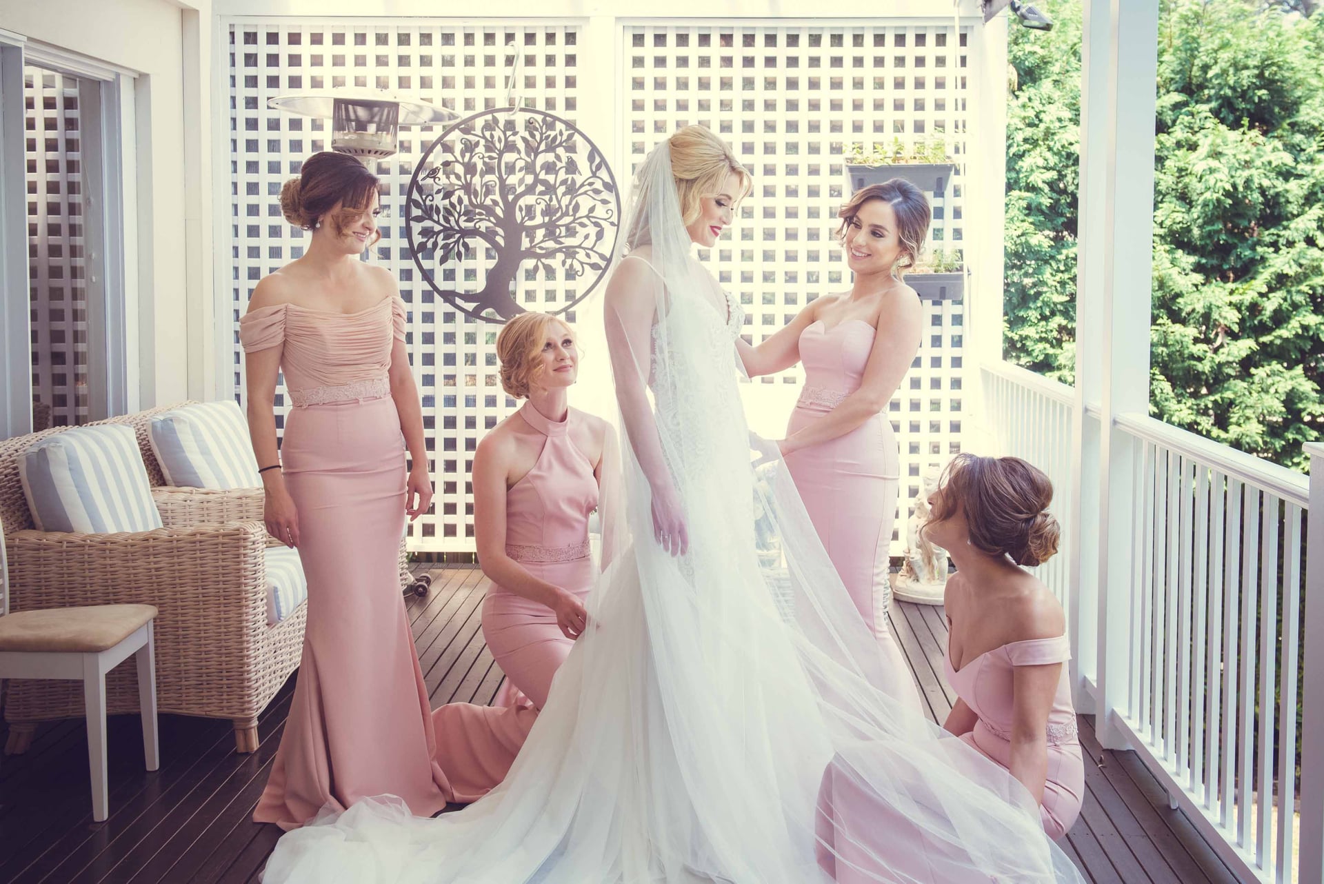 pallas gown