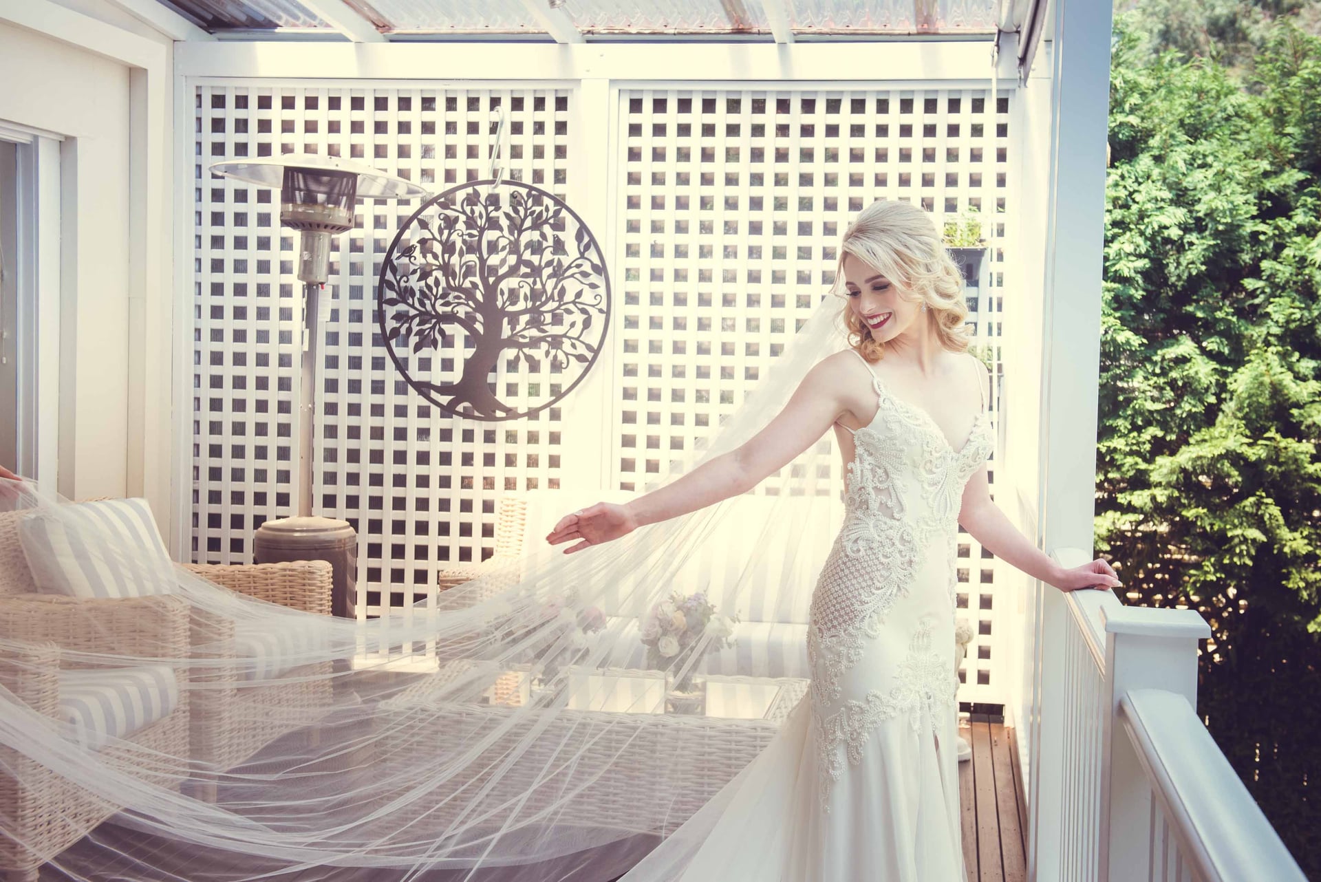 pallas gown