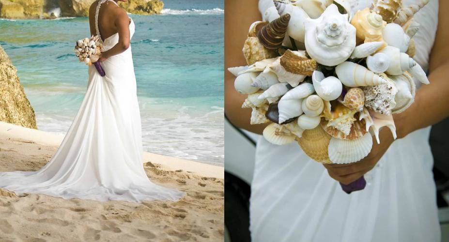 shells