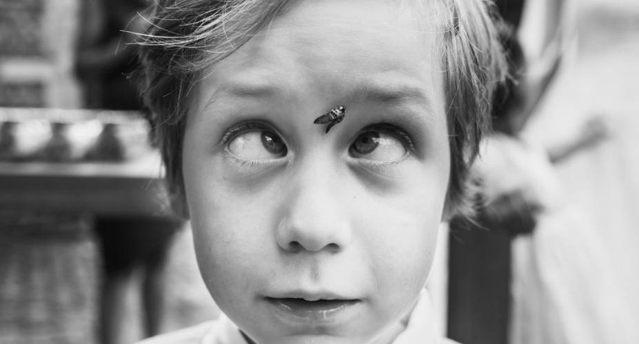 1 Philippe Swiggers Photography