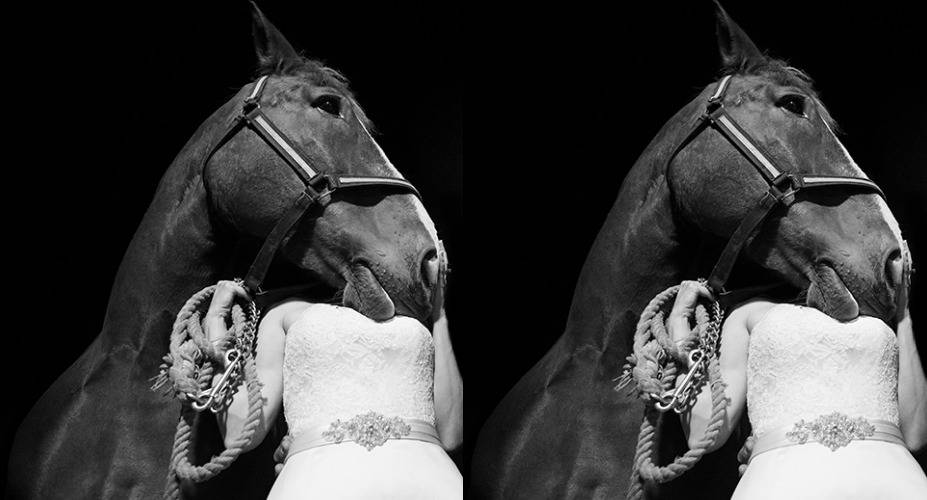 20 Kristi Odom Photography