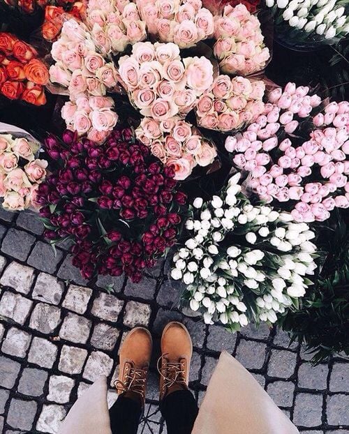 Pin by Tamara Weetman on Places | Pretty plants, Pretty flowers, Beautiful  flowers