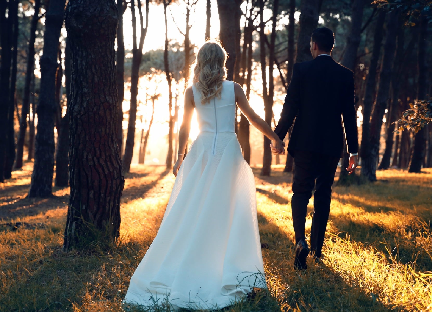 toni maticevski gown