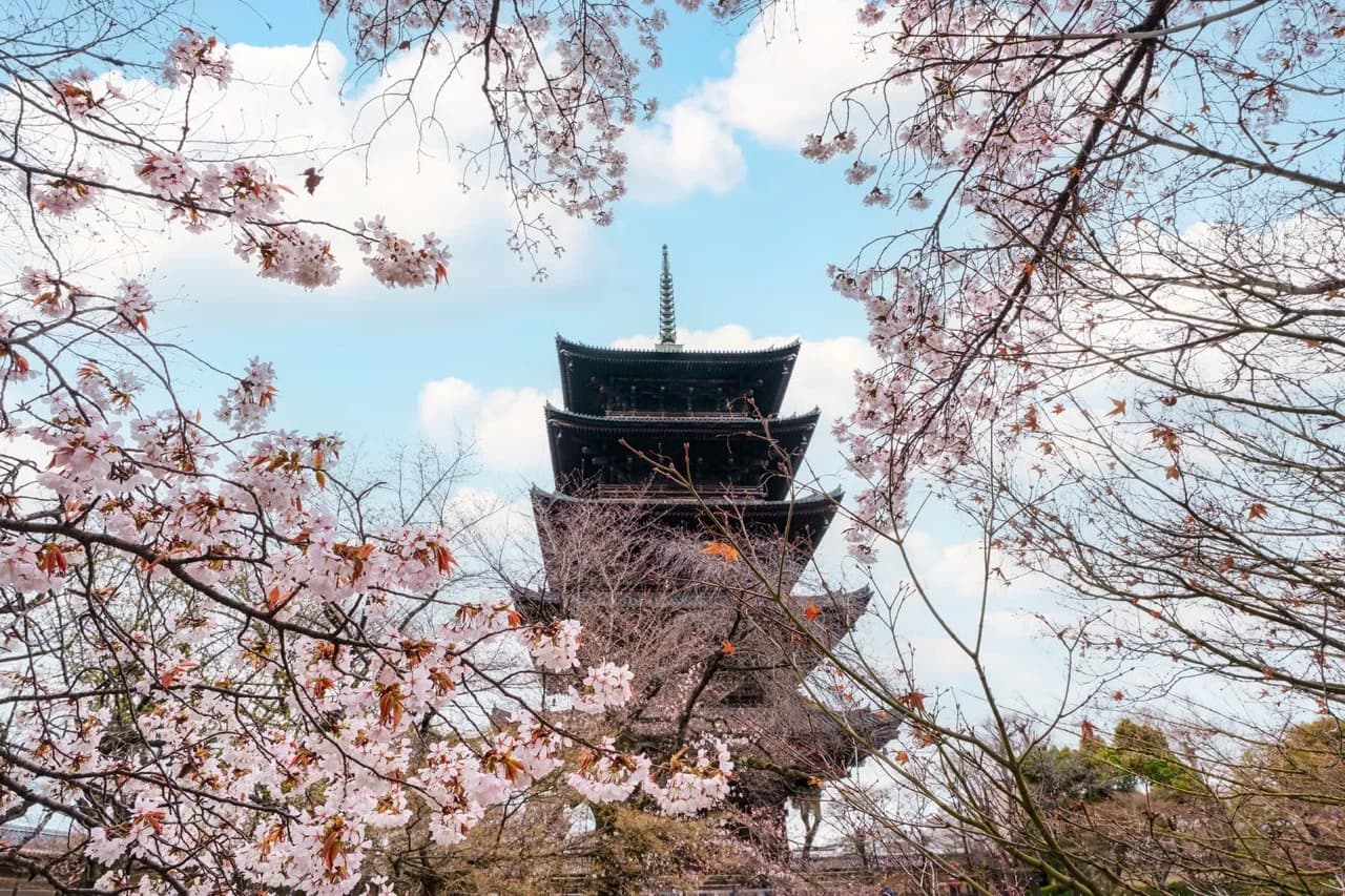 A Guide on Where to Go on Honeymoon in March
