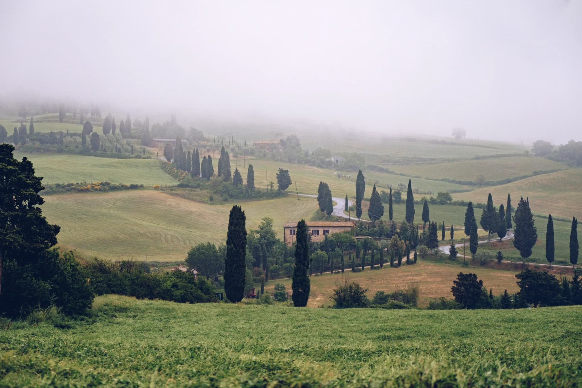 12 Best Tuscany Vineyard Wedding Venues