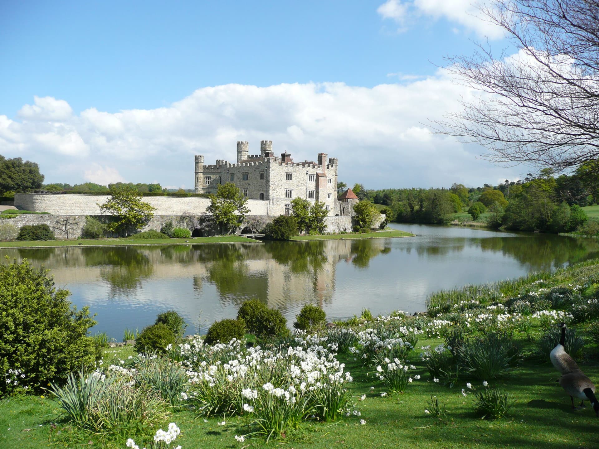 Leeds Castle - Gallery 6
