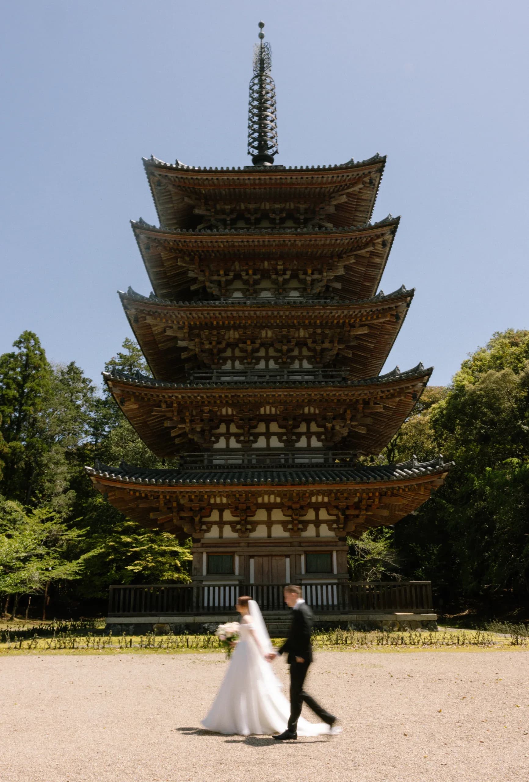 Sofia Hiramatsu portfolio image 6
